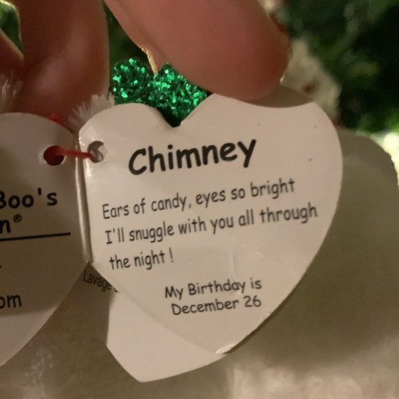 Beanie, boos, white mouse, with peppermint ears name is chimney - Picture 6 of 6